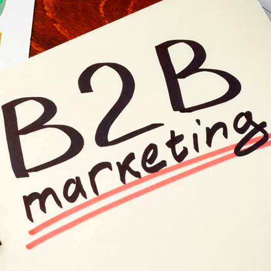 ¿Marketing B2B on line?